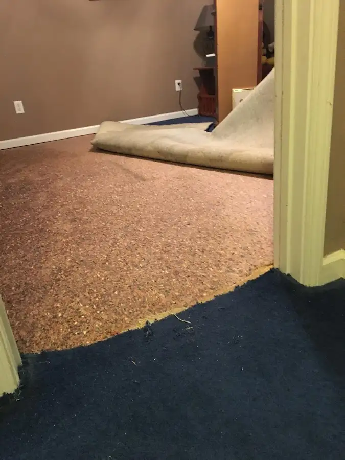 Carpet pad removal revealing water damage during Water Mitigation Services in Panama City